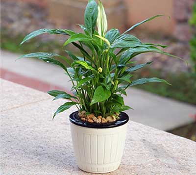 ����UG(�й�����)�ٷ���վ