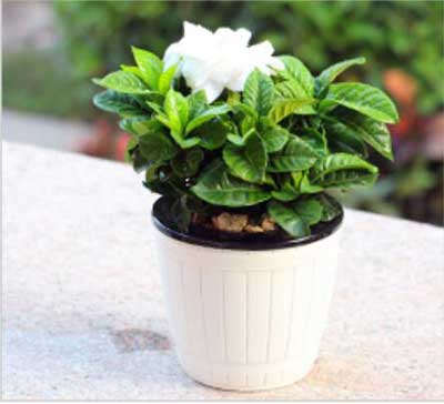 ����UG(�й�����)�ٷ���վ