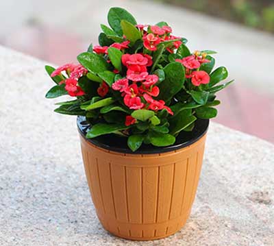 ����UG(�й�����)�ٷ���վ