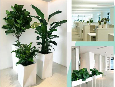 ����UG(�й�����)�ٷ���վ