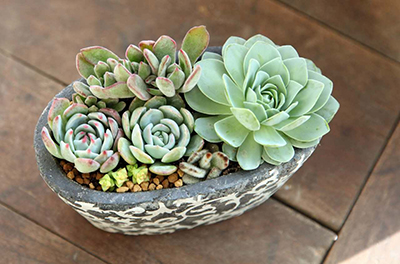 ����UG(�й�����)�ٷ���վ