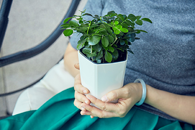 ����UG(�й�����)�ٷ���վ