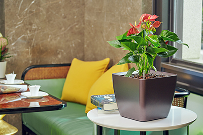 ����UG(�й�����)�ٷ���վ