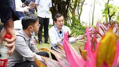 ����UG(�й�����)�ٷ���վ