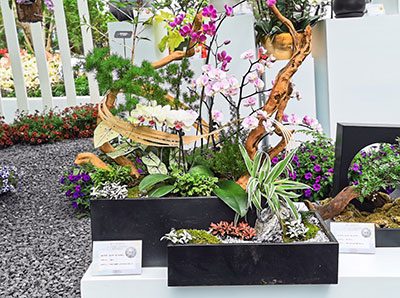 ����UG(�й�����)�ٷ���վ