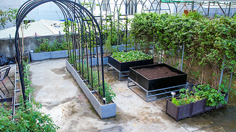 ����UG(�й�����)�ٷ���վ