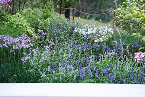 ����UG(�й�����)�ٷ���վ