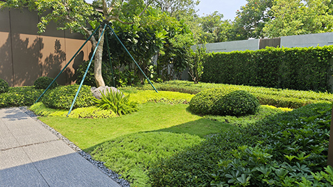 ����UG(�й�����)�ٷ���վ