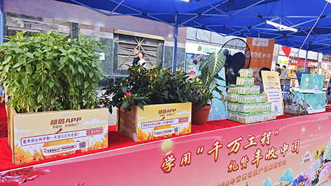 ����UG(�й�����)�ٷ���վ