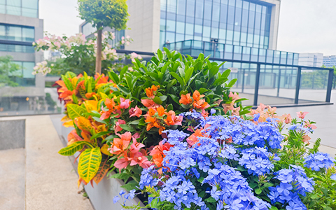 ����UG(�й�����)�ٷ���վ