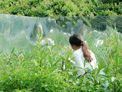 ����UG(�й�����)�ٷ���վ