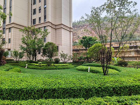 ����UG(�й�����)�ٷ���վ