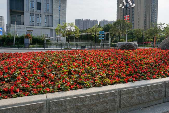 �����辶�̻�����