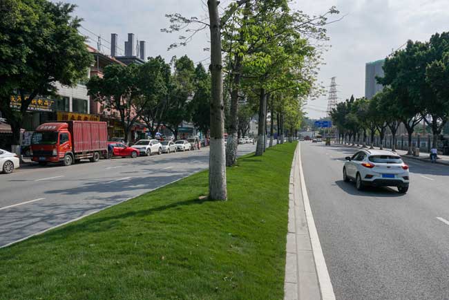 �����辶�̻�����