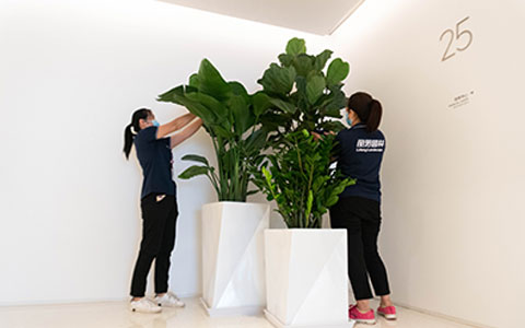 ����UG���ʺϰڷŰ칫�ҵ���ɫֲ��