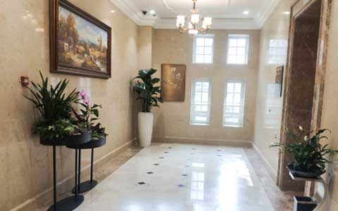 �ʺϹ�˾�������������Ȱڷ�ֲ������Щ��?