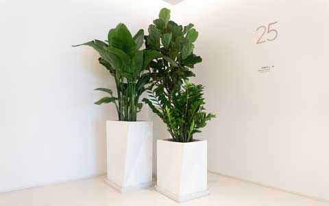 ������ֲ���������շѱ�׼������