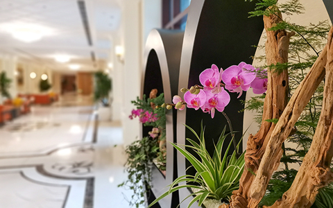 ����д��¥�칫��ֲ����ڷ����׼