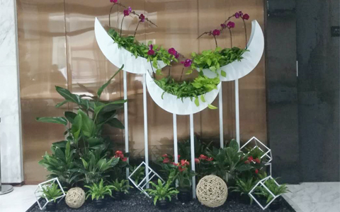 ���ܰڷŹ�˾���������� ��ֲ���޼�Ǯ����