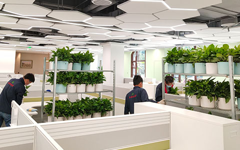 �칫�һ�������������˾��ô������