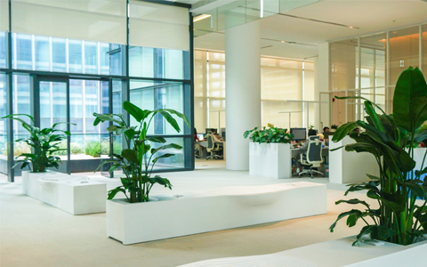 ����UG�칫����ֲ�ڷſ�����������ˮ,������Ҫ֪��!