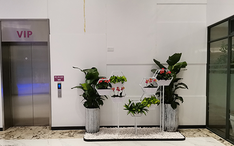 �a�_��ֲ��ڷ���������