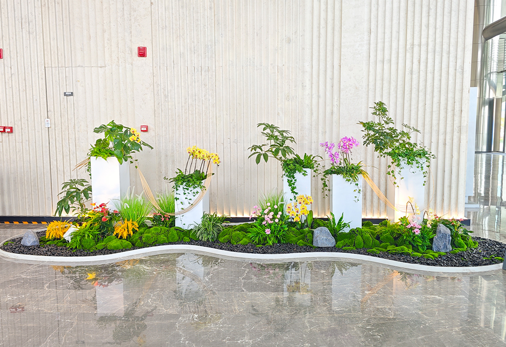 ������ֲ�쾰�������ݻ������