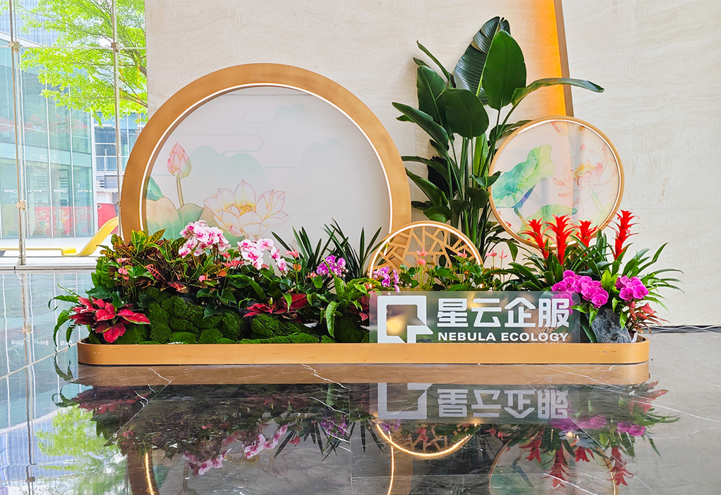 �����󶼻�����̻������龰