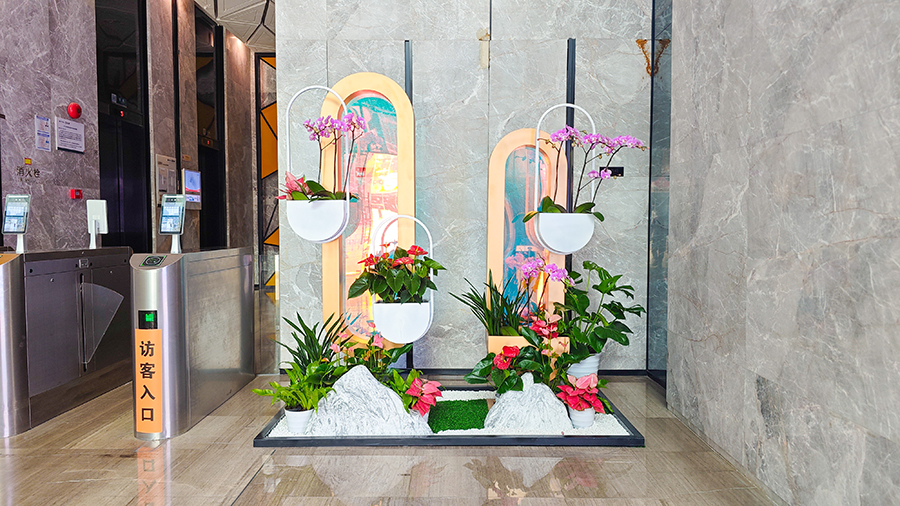 �����󶼻�����̻������龰