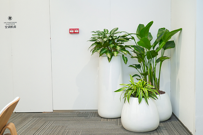 ������Ʒ������ֲ���