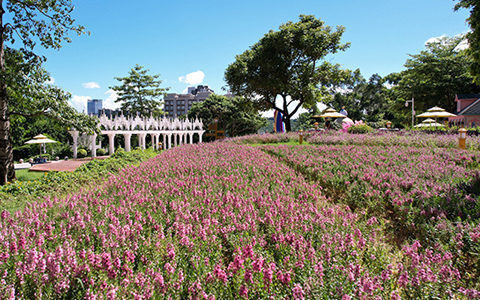 ����UG��������ս�Խṹ ��ʡ����������ɫ�����±��