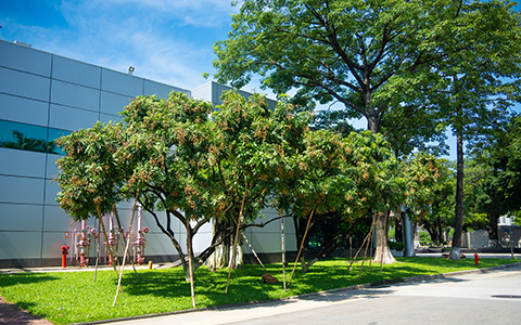 ����UG��26��רҵ�������������칤����԰���̻��ĸ߲��淶