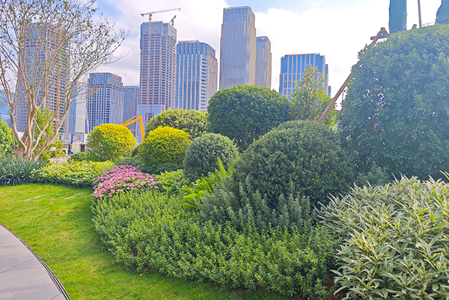 �����辶�̻�����