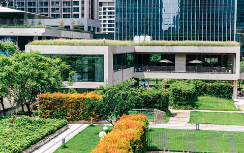 �̻��������� | ��������Ƴ���ƹ�����������������Ȼ