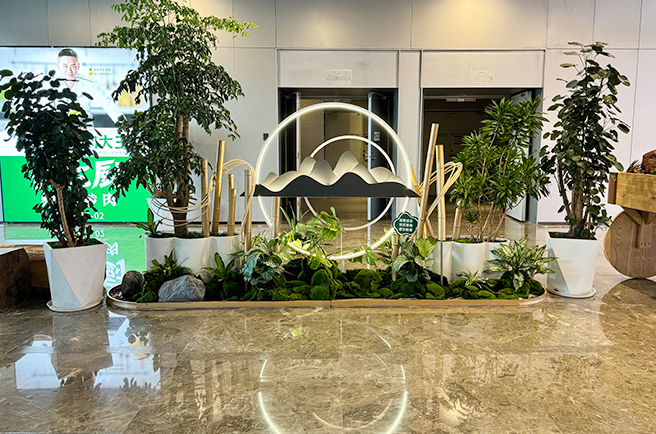 ��������Ƴ���ƹ���ֲ��������̻�����