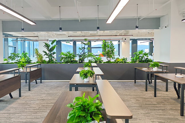 ��Ϸ��˾�ܲ���ֲ���