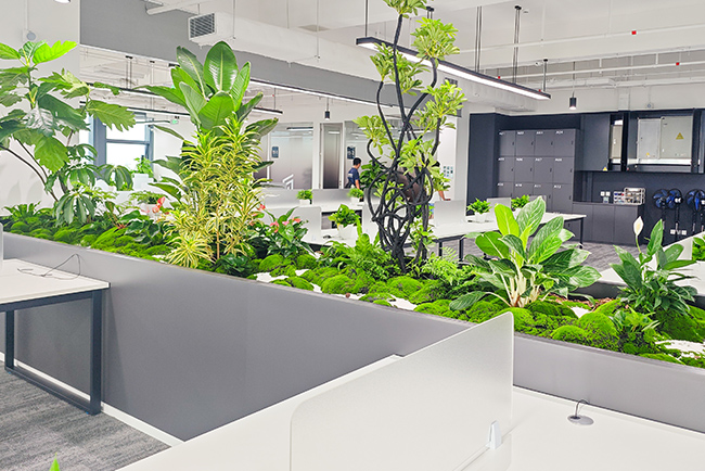 ��Ϸ��˾�ܲ���ֲ���